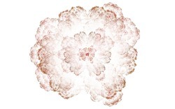 2014 04 26 Afternoon From Blanks 20-white.jpg